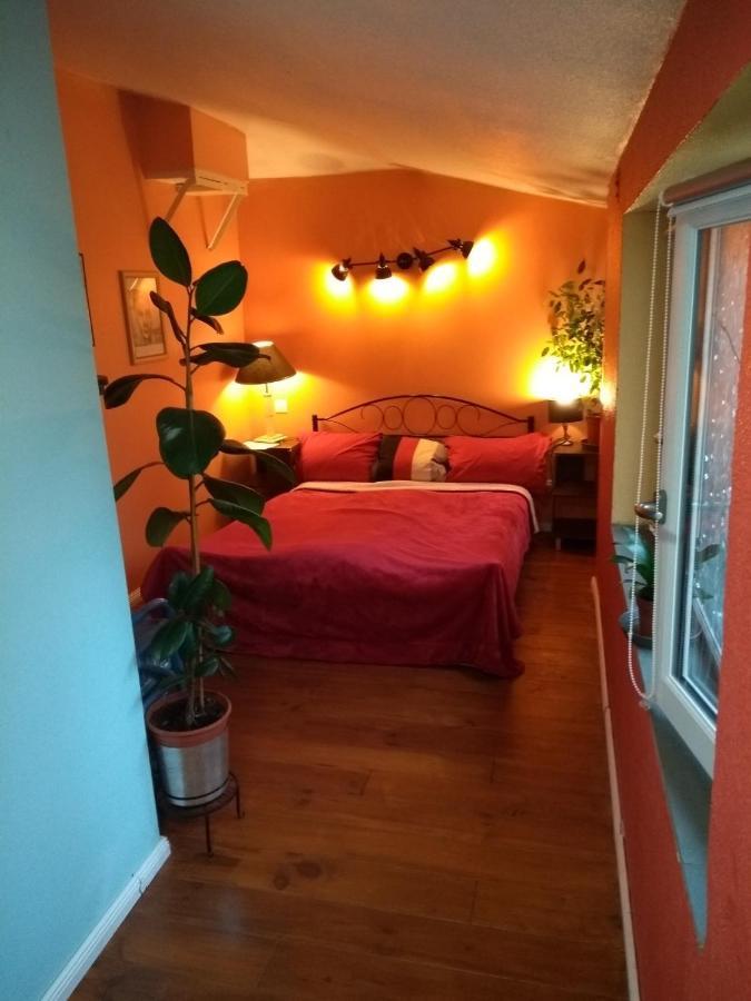 Maison Chopin Грама Экстерьер фото